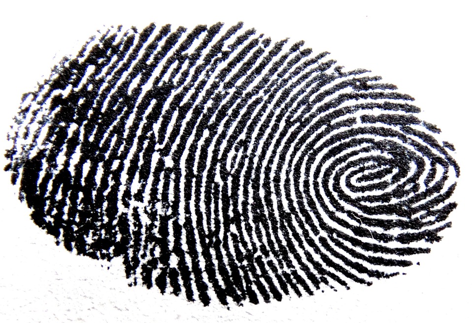 fingerprint-pixabay